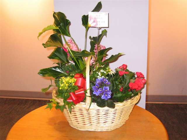 Planter Basket