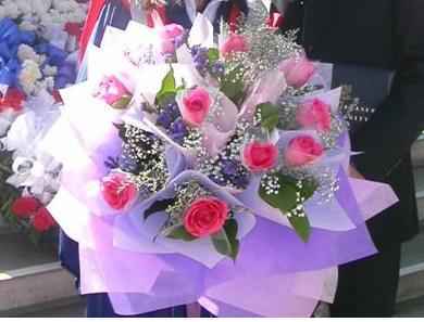 Individual Pink Roses