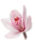 Design_03